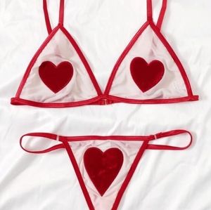 Mesh Heart print Bra and panties